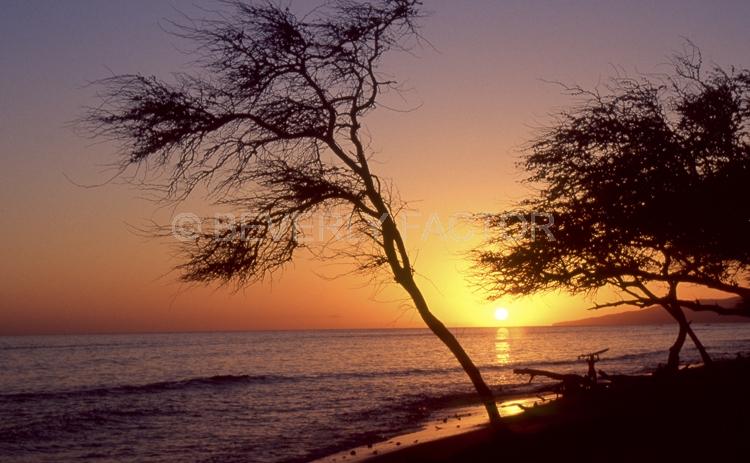 Sunset Island;ocean;yellow;colorful;red;water;sunset;sillouettes;sky;trees;Hawaii